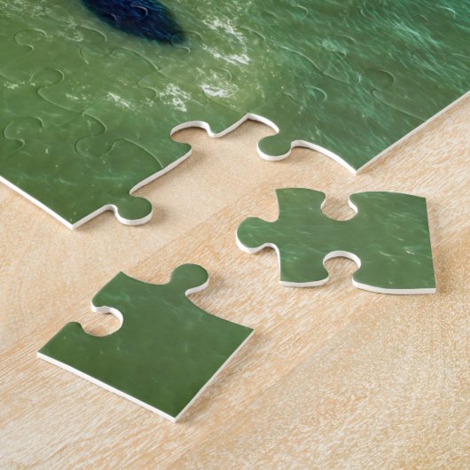 Morris Island Lighthouse (South Carolina) Puzzle (Seite)