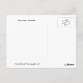 Morro Bay, Kalifornien Postcard Postkarte (Rückseite)