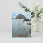 Morro Bay Rock mit Otters Postkarte (Stehend Vorderseite)