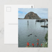 Morro Bay Rock mit Otters Postkarte (Vorne/Hinten)