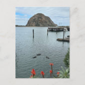 Morro Bay Rock mit Otters Postkarte (Vorderseite)