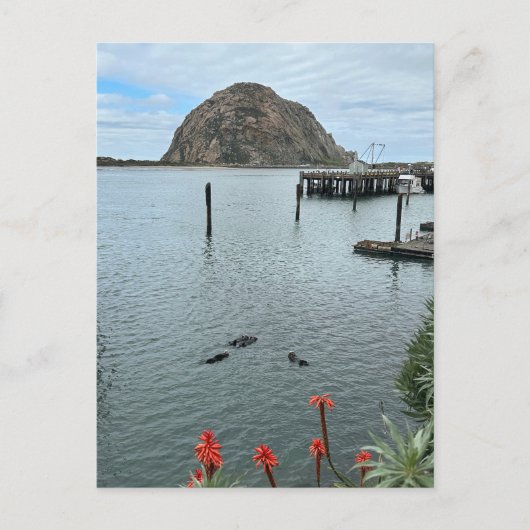 Morro Bay Rock mit Otters Postkarte (Vorderseite)