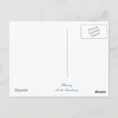 Morro Bay Travel Postkarte (Rückseite)