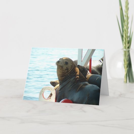 Morro Bucht-Siegel Karte (Vorderseite)