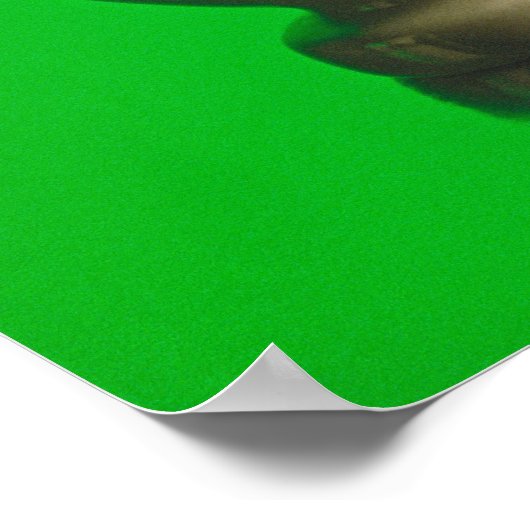 Mortar und Pestle Poster (Ecke)