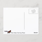 Morton Blick auf die Großen Smoky-Berge Postkarte (Rückseite)