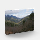 Morton Overlook at Great Smoky Mountains Fotoblock (Links)