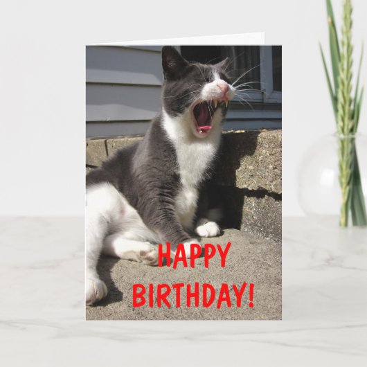 Morty Birthday Karte (Vorderseite)