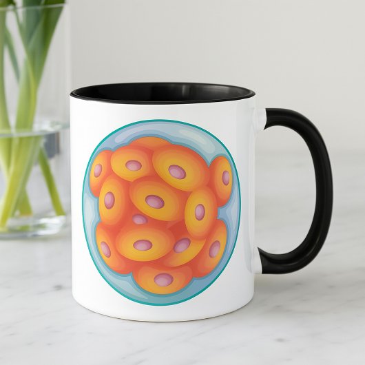 Morula-Tasse Tasse