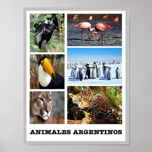 Mosaic Animales Argentinos - Poster (Vorne)