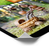Mosaik der besten Eichelfen-Fotos Poster (Ecke)