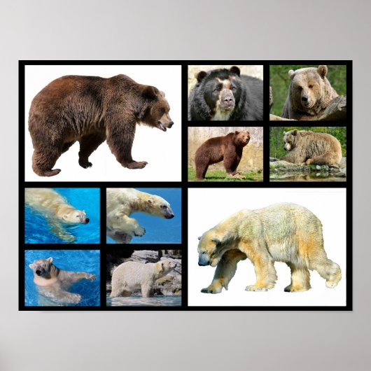 Mosaik-Fotos Poster (Vorne)