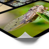 Mosaik-Fotos Poster (Ecke)