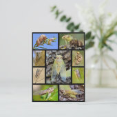 Mosaik-Fotos Postkarte (Stehend Vorderseite)