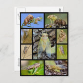 Mosaik-Fotos Postkarte (Vorne/Hinten)