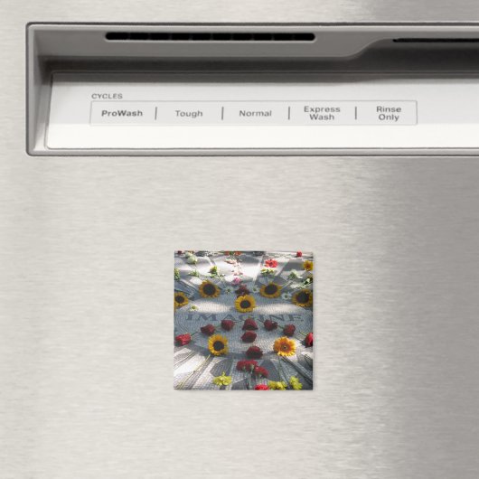 Mosaik IMAGINE, Erdbeerfelder, NY - Magnet (In Situ (Geschirrspüler))