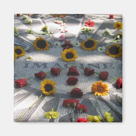 Mosaik IMAGINE, Erdbeerfelder, NY - Magnet (Vorne)