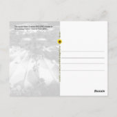 Mosaik IMAGINE, Erdbeerfelder, NY - V Postkarte (Rückseite)