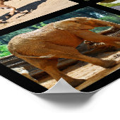 Mosaik Poster (Ecke)