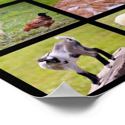 Mosaik von Nutztieren Poster (Ecke)