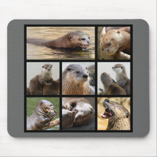 Mosaike Fotos von Ottern Mousepad