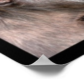 Mosaikische Fotos von Affen Poster (Ecke)