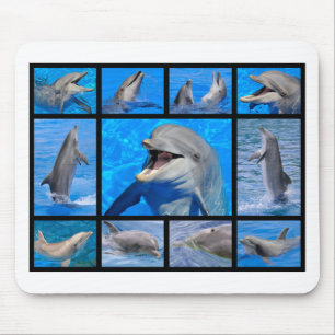 Mosaikische Fotos von Delphinen Mousepad