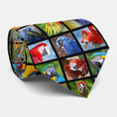 Mosaikische Fotos von Papageien Krawatte (Gerollt)