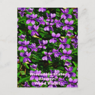 Mosaikmuster der Staatsblume von WI, Waldveilchen Postkarte