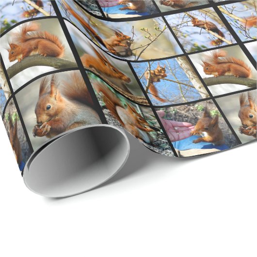 Mosaikschildkröte Geschenkpapier (Rolleneckpunkt)