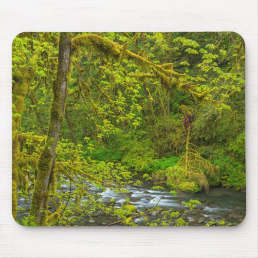 Mosaiksteine und Bäume reihen Adlerkrebs Mousepad (Vorne)