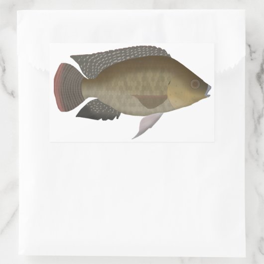 Mosambik Tilapia Rechteckiger Aufkleber (Tasche)
