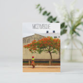 Mosambikbaum Postkarte (Stehend Vorderseite)