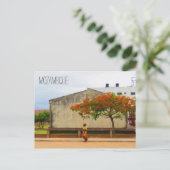 Mosambikflammbaum Postkarte (Stehend Vorderseite)
