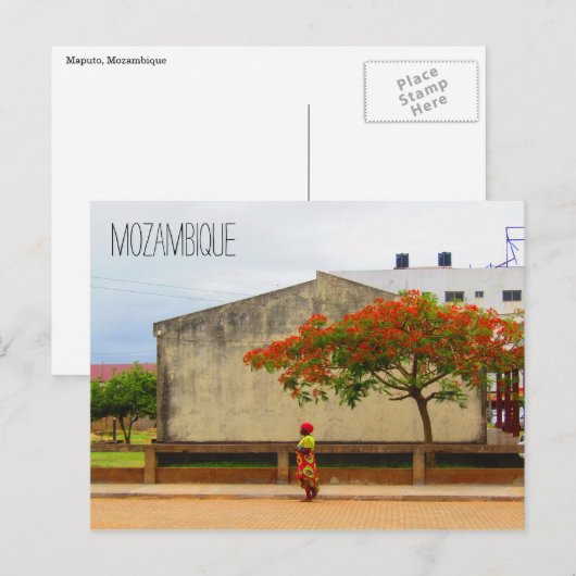Mosambikflammbaum Postkarte (Vorne/Hinten)