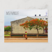Mosambikflammbaum Postkarte (Vorderseite)