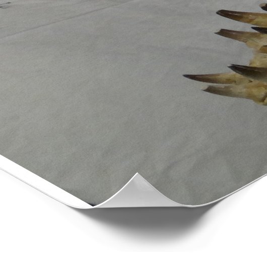 Mosasaur Poster (Ecke)