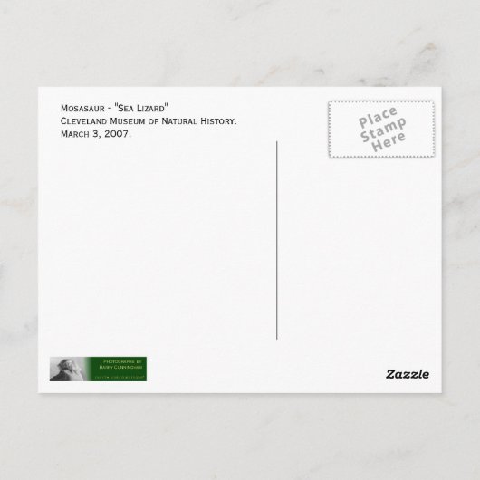 Mosasaur - "Sea Lizard" Postkarte (Rückseite)