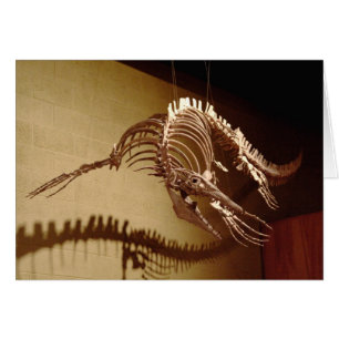 Mosasaur - "Seeeidechse "