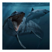 Mosasaurus jagen Haiposter Poster (Vorderseite)