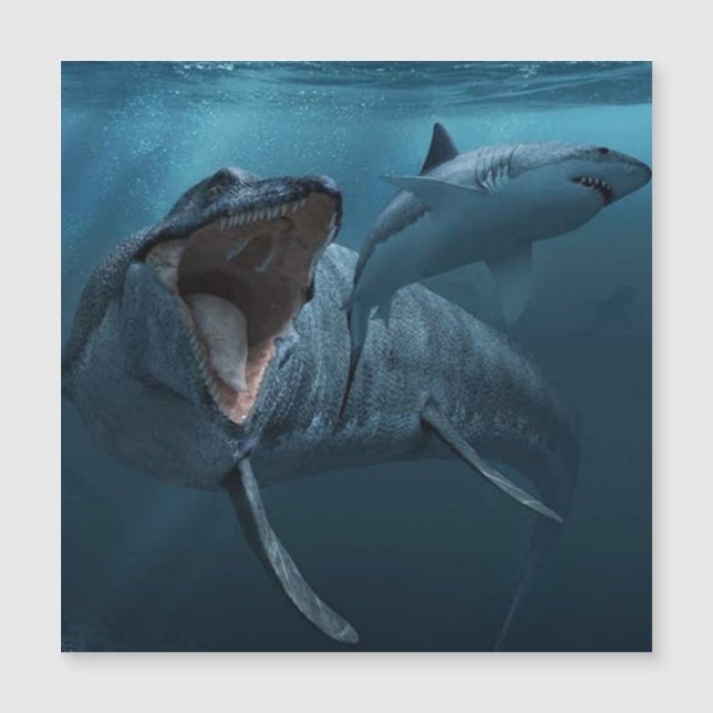 Mosasaurus jagt Haifotografie Magnetkarte (Vorderseite)