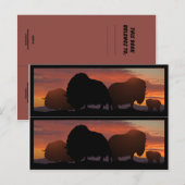 Moschus-Ochse Bookmarkers Postkarte (Vorne/Hinten)