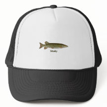 Moschusartig (Muskellunge)