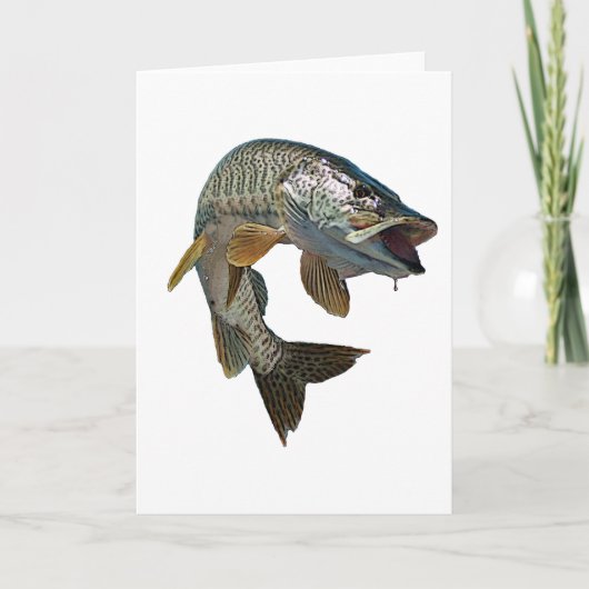 Moschusartige 4 karte (Vorderseite)