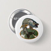 Moschusartige 6 button (Vorne & Hinten)