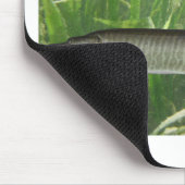 Moschusartiges Mousepad (Ecke)