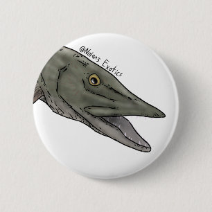 Moschusbarsch-Stecker Button