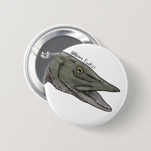 Moschusbarsch-Stecker Button (Vorne & Hinten)