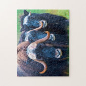 Moschusochse Alaska. Puzzle (Vertikal)