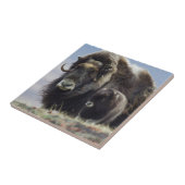 Moschusochse mit Kalb Fliese (Seite)